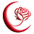 Lucilunar logo