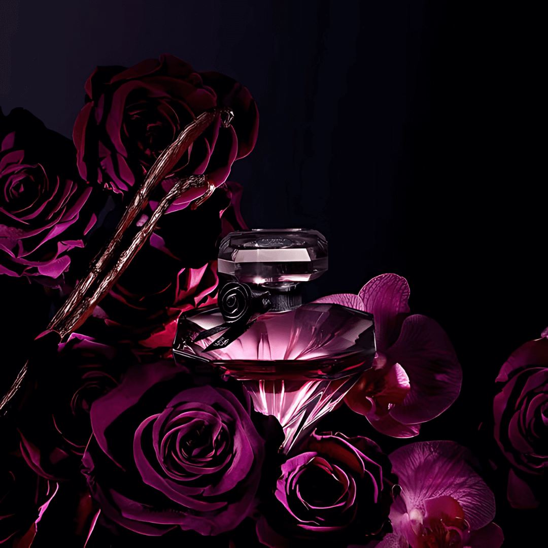 La-Nuit-Trésor-Lancôme-Eau-de-Parfum-Perfume-Feminino-02